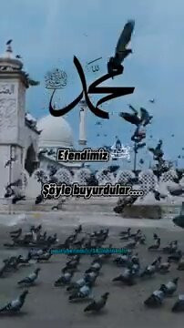 5 jKF7Q Kz7JCExH.jpg