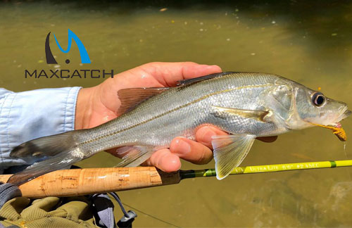 Saltwater Fly Fishing From Shore Vademecum For Beginners.jpg