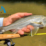 Saltwater Fly Fishing From Shore Vademecum For Beginners