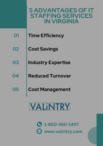 IT Staffing Services in Virginia.jpg