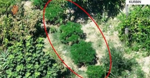 5679637659300038453?url=https%3A%2F%2Fblogger.googleusercontent.com%2Fimg%2Fa%2FAVvXsEjuel9rM S p2eZ.jpg