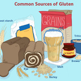 gluten2304