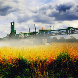 gluten2410