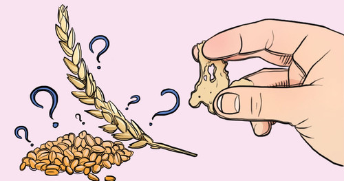 gluten2411.jpg