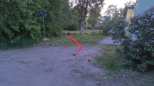 photo 2023 06 05 03 59 24.jpg