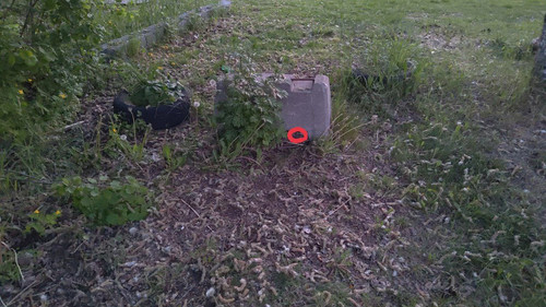 photo 2023 06 05 03 59 19.jpg