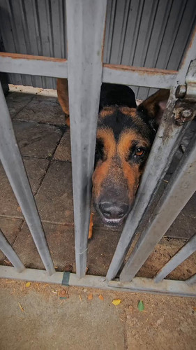 lyO PQSGFtx6noix.jpg