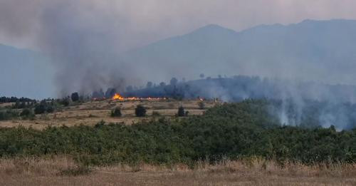 16477363741169718175?url=https%3A%2F%2Falbeu.com%2Fwp content%2Fuploads%2F2024%2F08%2Fsfdgdfgdfg.jpg.jpg