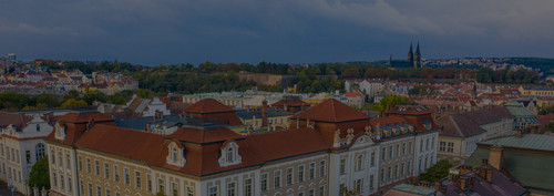 1004010377 tmavy orez2.jpg