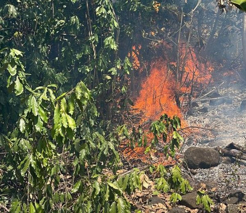 455525429 1021231873338812 2246667471749582193 n.jpg?stp=dst jpg s600x600& nc cat=101&ccb=1 7& nc si.jpg