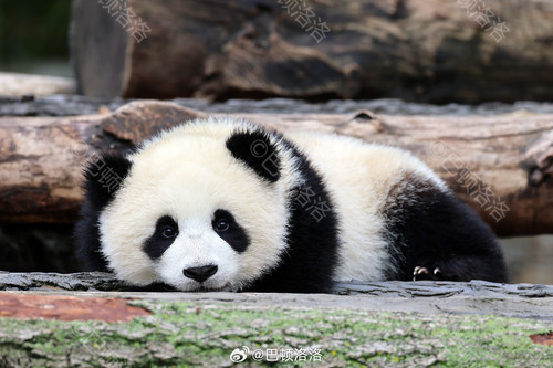 IMG 2024080418 3530 7780.jpg