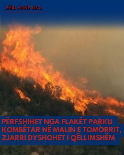 455221306 891817059637228 6068848127852023471 n.jpg?stp=dst jpg s640x640& nc cat=108&ccb=1 7& nc sid.jpg