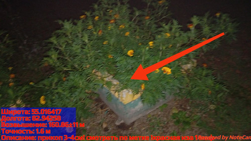 IMG 20240812 224237.jpg