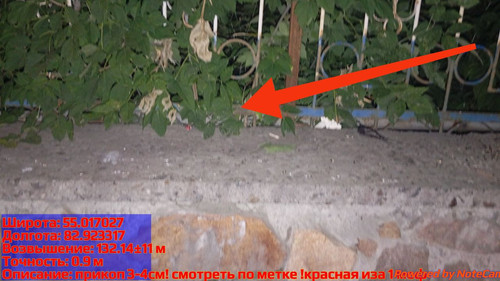 IMG 20240812 225925.jpg