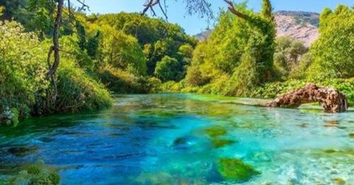 5812488647743577504?url=https%3A%2F%2Fshqiptarja.com%2Fuploads%2F780x440%2F1722841398 syriikalter.JP.jpg