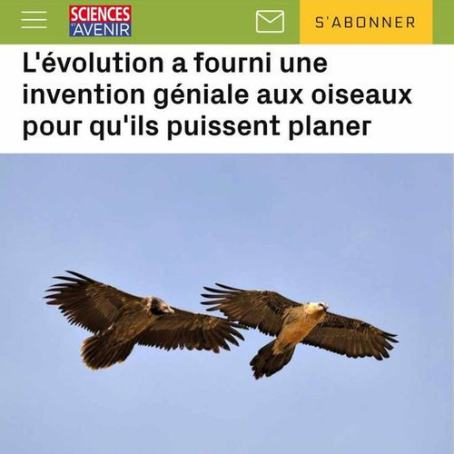 453507027 939169524907960 8020500685592322472 n.jpg?stp=dst jpg p526x296& nc cat=109&ccb=1 7& nc sid.jpg