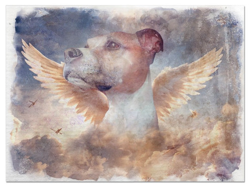 860D830B 0A65 4413 A382 BEE62D12F775.jpg