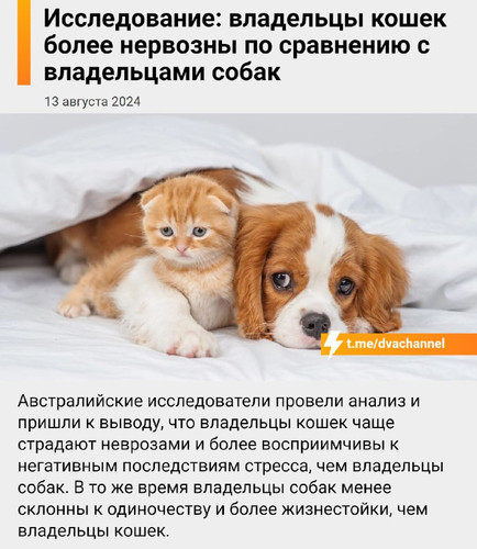 QDOU6kQ9pvpT2zVRtlqCKCaAVerRE1S86VZuwfVHQCxNyON1X8rYEOovVqJqQ5D TOC1HVdCZ 98UMT 8OD p58UBMrl72hAVIwj.jpg