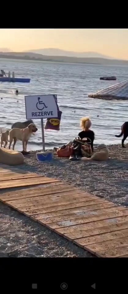 dVSm3u2 N1xId2ZB.jpg