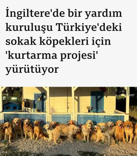 455178751 814177100931514 4949298304898225705 n.jpg?stp=dst jpg p526x296& nc cat=109&ccb=1 7& nc sid.jpg