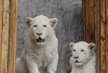 CPQgbm5n6XhZrp1oekkjZETM8yZ0XXCgEA273RpLrIJWtGMphtojJHgNiR2wdRTOcDBOdnHC h0F4PMRJrpHZnLfsUEQafsps7 O.jpg