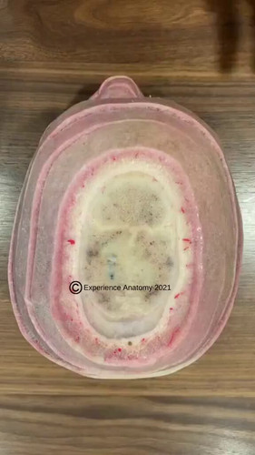 ejWT 0 wUyZs3QoL.jpg