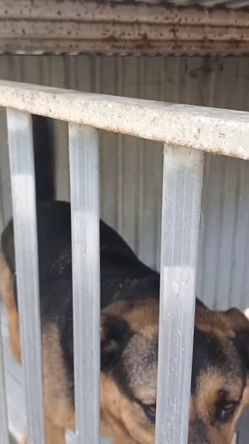 FG1iFw09AyVO tn0.jpg