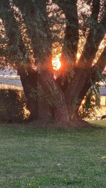 455016596 811205081177764 7532663325953701172 n.jpg?stp=dst jpg s600x600& nc cat=103&ccb=1 7& nc sid.jpg