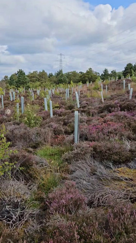 L0 Fh5TGgqTEV9w7.jpg