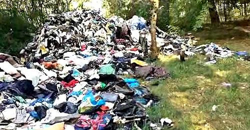 2070754987433856642?url=https%3A%2F%2Fplonskwsieci.pl%2Fpl%2Fnews foto%2F2024%2F0813%2Fs.1200x630%2F.jpg