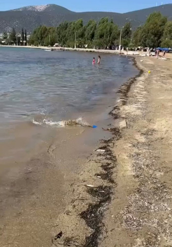 DMzYH9eo rVCmF4S.jpg