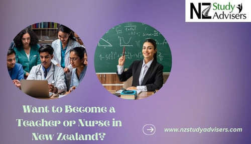 Want to Become a Teacher or Nurse in New Zealand?.jpg
