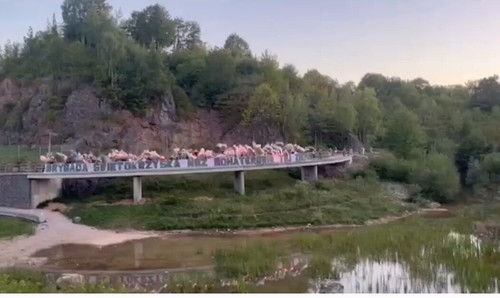 O 3eJImvxOzr55vj.jpg