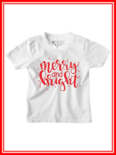 51+wRAQpfyL. SY741 .jpg