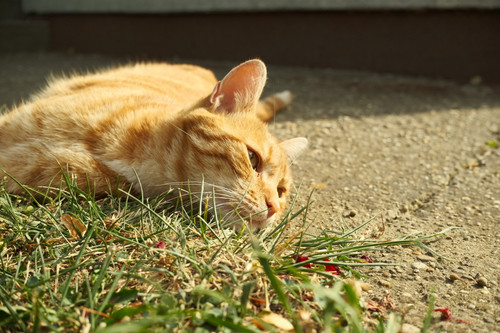 DSCF1147.jpg