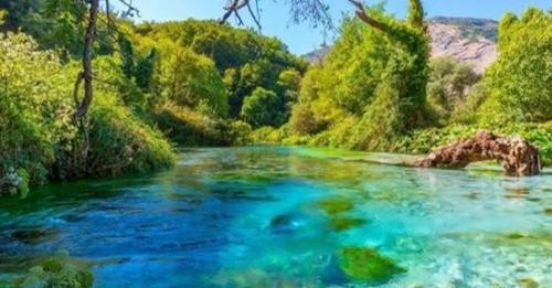 14247215117427946204?url=https%3A%2F%2Fshqiptarja.com%2Fuploads%2F539x308%2F1722841398 syriikalter.J.jpg