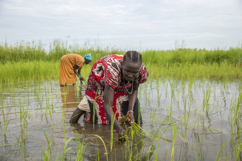 GU2IynfXAAAf C0?format=jpg.jpg