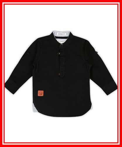 71fntZpPV2L. SX522 .jpg