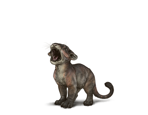 descarga (5).png