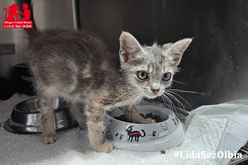 GU4v gUXoAAChsI?format=jpg.jpg