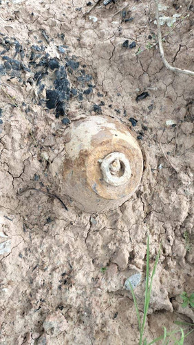 IMG 20240813 131212 987.jpg