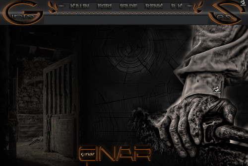 Lady Nur Dj Çınar 1.jpg