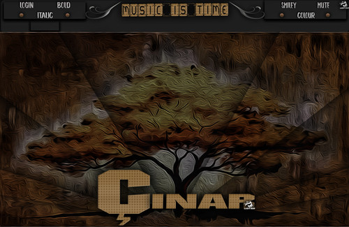 Lady Nur Dj Çınar 2.jpg