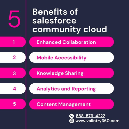 salesforce community cloud.jpg
