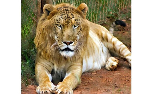 POoUNpKRVWjB owN7mdhjQo GPmZIxJ9XzlaK6R82hgPpQpJC4UOuoGjWs6sJVy7umH9d Apb11x6H0tnaGP3Sa7QsOo6P8C4lUN.jpg