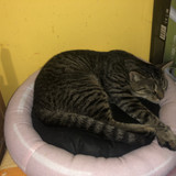 IMG 3926
