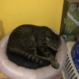 IMG 3925