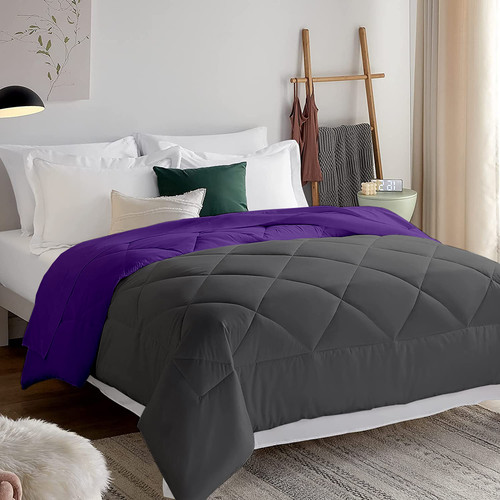 Dark Purple (4).jpg