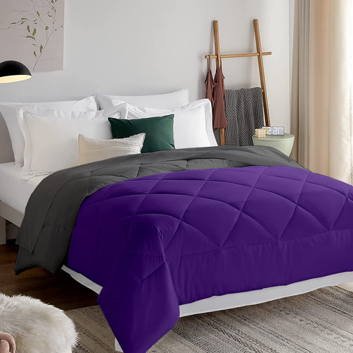 Dark Purple (2).jpg