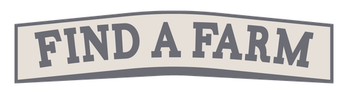 Name Banner